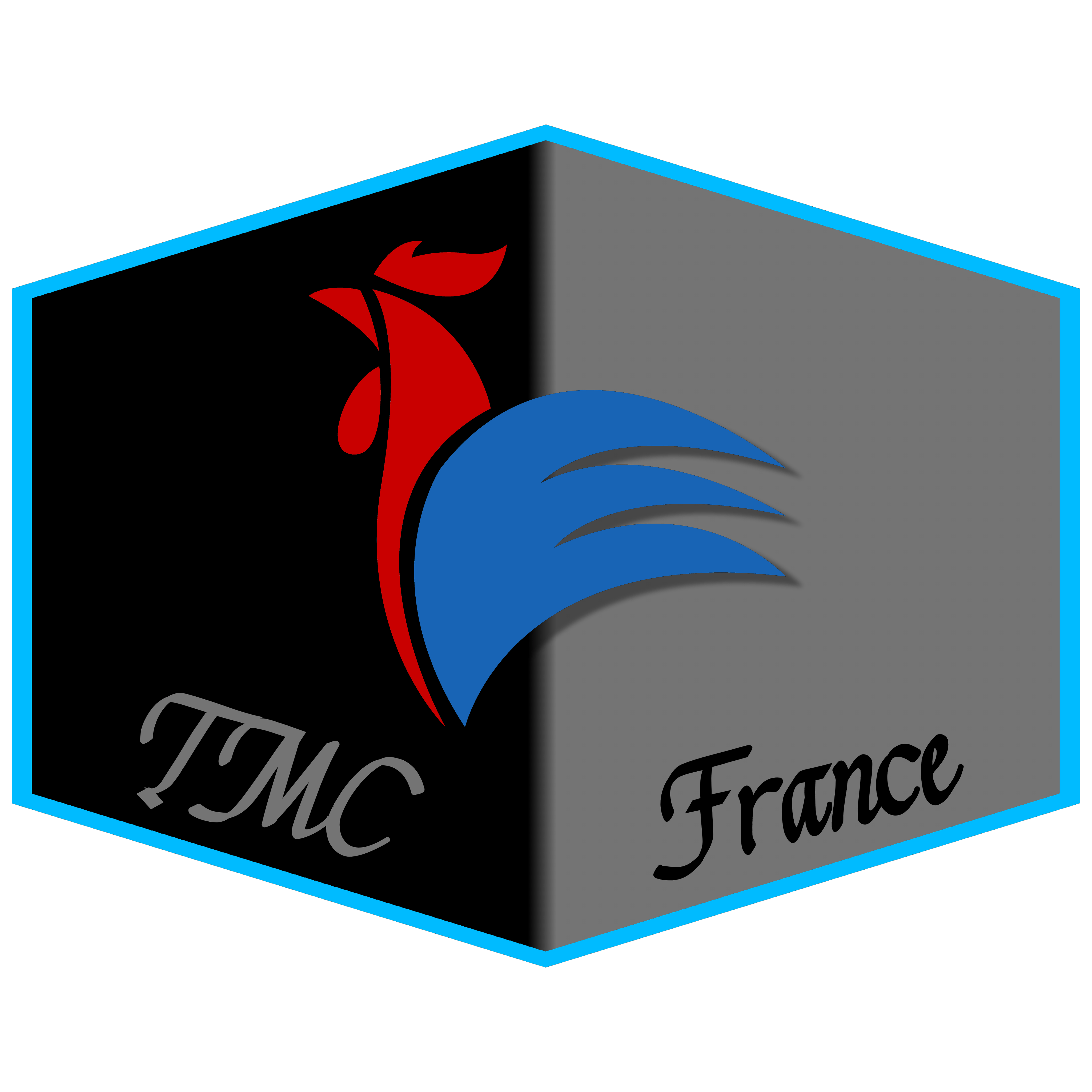 T.M.C.France On Trucky - The Virtual Trucker Companion App